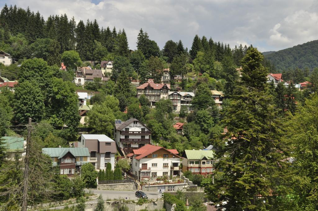 Hotel La Monitori Sinaia Pokój zdjęcie